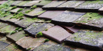 Swaffham Bulbeck roof repair costs